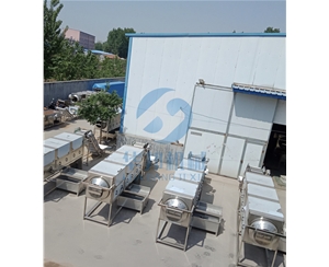 全自動核桃仁脫衣機(jī) 華邦機(jī)械