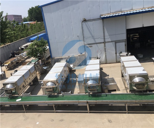 零添加核桃仁去皮機 華邦機械