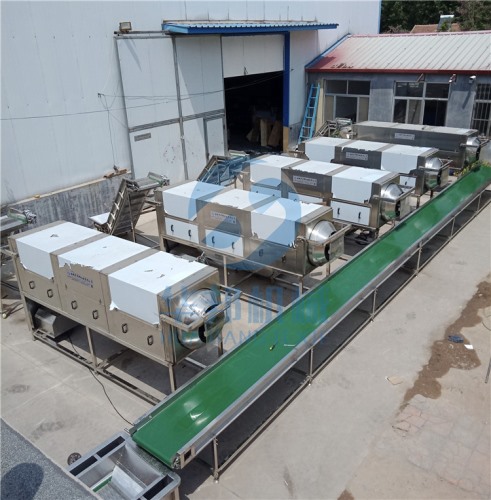 全自動大型核桃仁去皮流水線 華邦機械