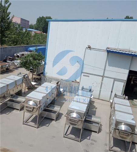 可調速核桃仁脫衣機 去皮核桃仁