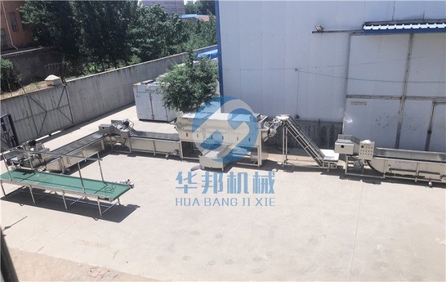 不同品種進行去皮  華邦機械核桃仁去衣機