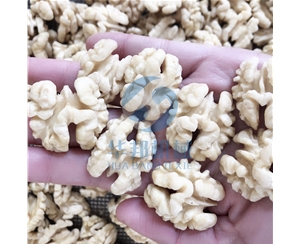 省人工 核桃仁去皮機(jī)