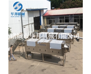 核桃仁脫衣機(jī) 華邦機(jī)械