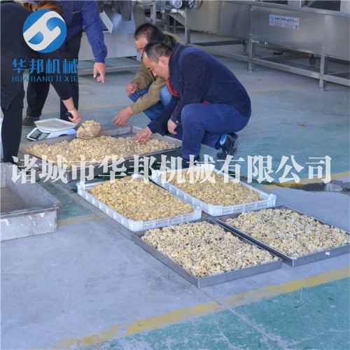 核桃仁脫皮機 華邦機械大批量核桃仁去衣設備