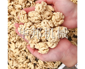 華邦機械核桃仁脫衣機 去衣核桃仁