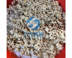 一人操作核桃仁去皮機(jī) 核桃仁深加工華邦機(jī)械