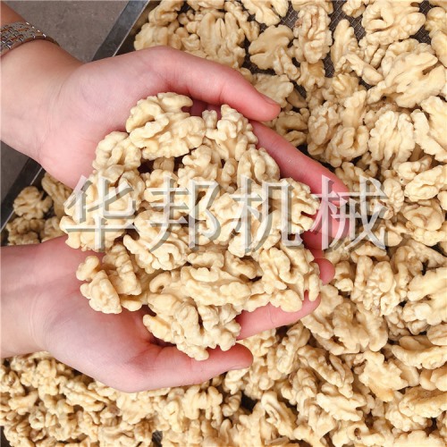核桃仁脫皮機(jī) 華邦機(jī)械全自動(dòng)核桃仁去衣流水線
