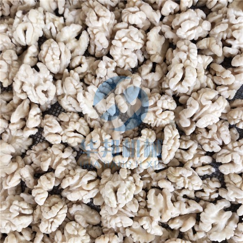 大產(chǎn)量 核桃仁去皮機