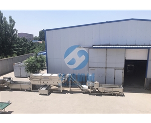 核桃仁加工設(shè)備流水線 華邦機(jī)械脫衣核桃設(shè)備