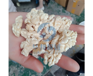 2019不限品種核桃仁去皮機(jī) 物理去皮