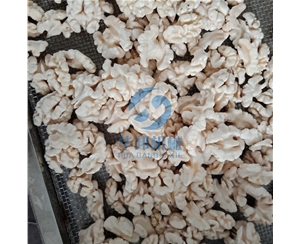 新一代 核桃仁脫衣機(jī) 2019報(bào)價(jià)