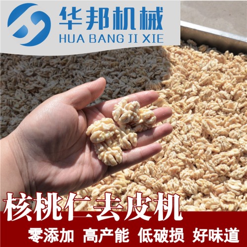 核桃仁去皮機(jī) 制作核桃粉需求設(shè)備 核桃仁脫皮機(jī)