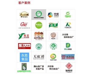 免費(fèi)上門安裝 核桃仁去皮機(jī)