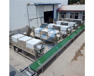 核桃仁去衣機  核桃乳核桃油生產設備