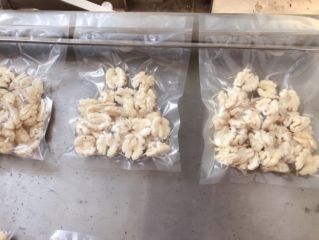 壓力可調(diào)清水核桃仁脫皮機 核桃仁去皮設備