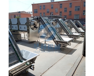 無(wú)火堿核桃仁去衣機(jī) 核桃仁脫衣機(jī)視頻