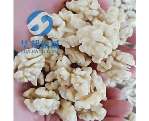 核桃仁去皮機 用于桃仁苦衣去除