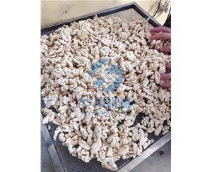 不加藥水 核桃仁脫皮機