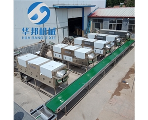 生產核桃仁去皮機 連續(xù)式運作