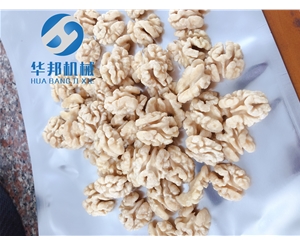 中型核桃仁脫衣機結構