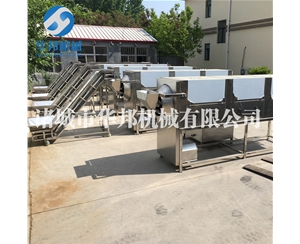 核桃仁去衣機(jī) 純物理核桃仁去皮機(jī)