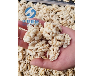 核桃仁去皮機 華邦機械核桃仁去衣機