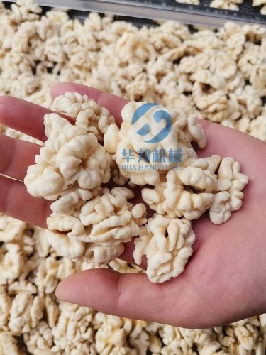 2020核桃仁去皮機(jī) 去皮核桃仁設(shè)備