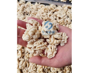 2020核桃仁去皮機 去皮核桃仁設備