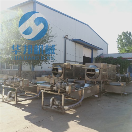 純物理核桃仁脫衣流水線 華邦核桃仁去皮機