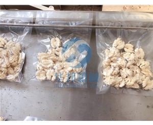 【多型號】核桃仁去皮機(jī)