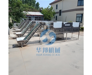 自動(dòng)上料 核桃仁去皮機(jī)