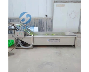 果蔬氣泡清洗機 凈菜加工設(shè)備 核桃仁清洗機
