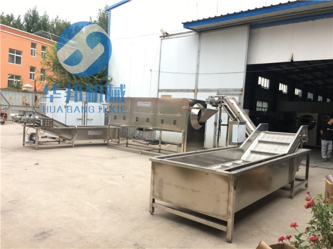 大型核桃仁去皮流水線 華邦核桃仁去皮機