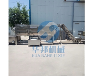 核桃仁去皮機 優(yōu)質(zhì)核桃仁去皮設備