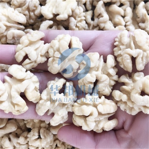 核桃仁 花生米去皮機(jī)