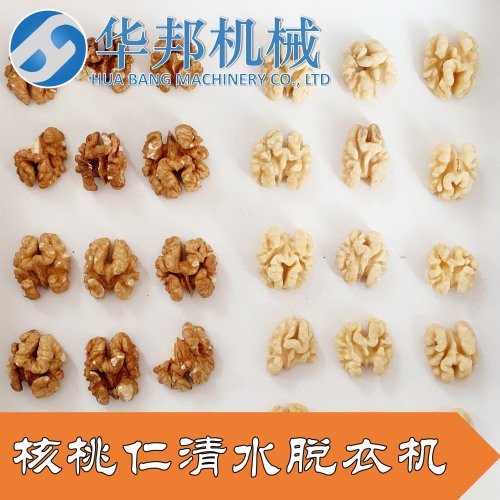 核桃仁去衣機 去皮核桃仁機器