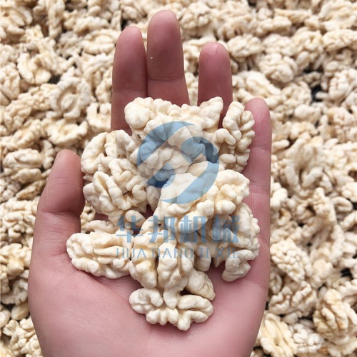 免費(fèi)試機(jī) 核桃仁去皮機(jī) 專利核桃仁脫衣機(jī)