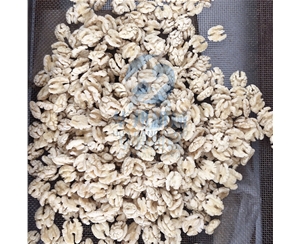 多型號(hào) 核桃仁去皮機(jī)