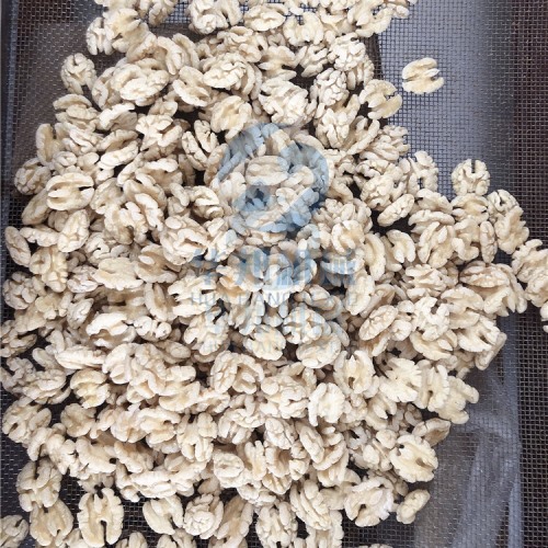 核桃仁去皮機(jī) 試用