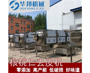 核桃仁去皮機(jī) 大型核桃仁去皮機(jī)