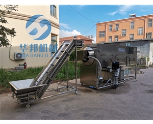 自動(dòng)上料 核桃仁去皮機(jī) 產(chǎn)量大省人工