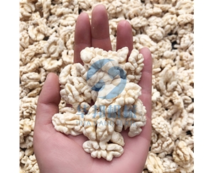 核桃仁去皮機 去皮率高達98%