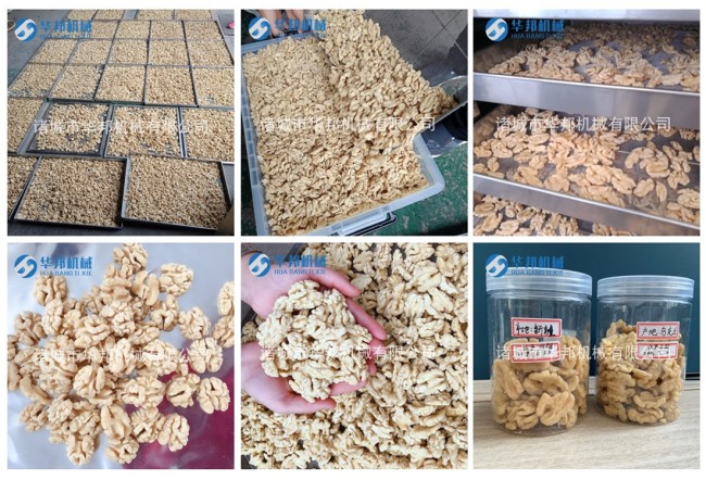 核桃仁烘干機 核桃仁烘干工藝 三只松鼠供貨標(biāo)準(zhǔn)