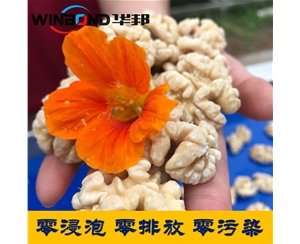 核桃仁去皮機(jī)廠(chǎng)家  華邦2020報(bào)價(jià)