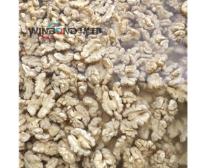 華邦核桃仁去衣機(jī)械 現(xiàn)場(chǎng)布局核桃仁去皮機(jī) 質(zhì)保