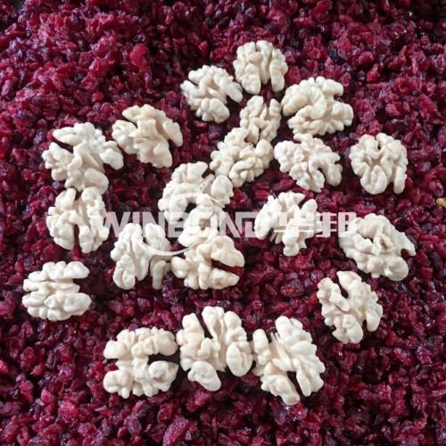 蜂蜜核桃仁去皮機(jī) 核桃仁杏仁剝皮機(jī) 無(wú)藥無(wú)堿