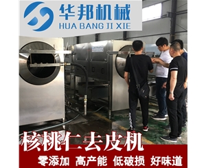 送工藝核桃仁脫皮機 純物理去皮核桃仁設(shè)備