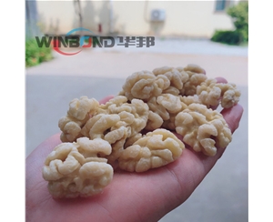 華邦供貨核桃仁去皮機(jī) 清水核桃仁脫皮機(jī) 無破碎